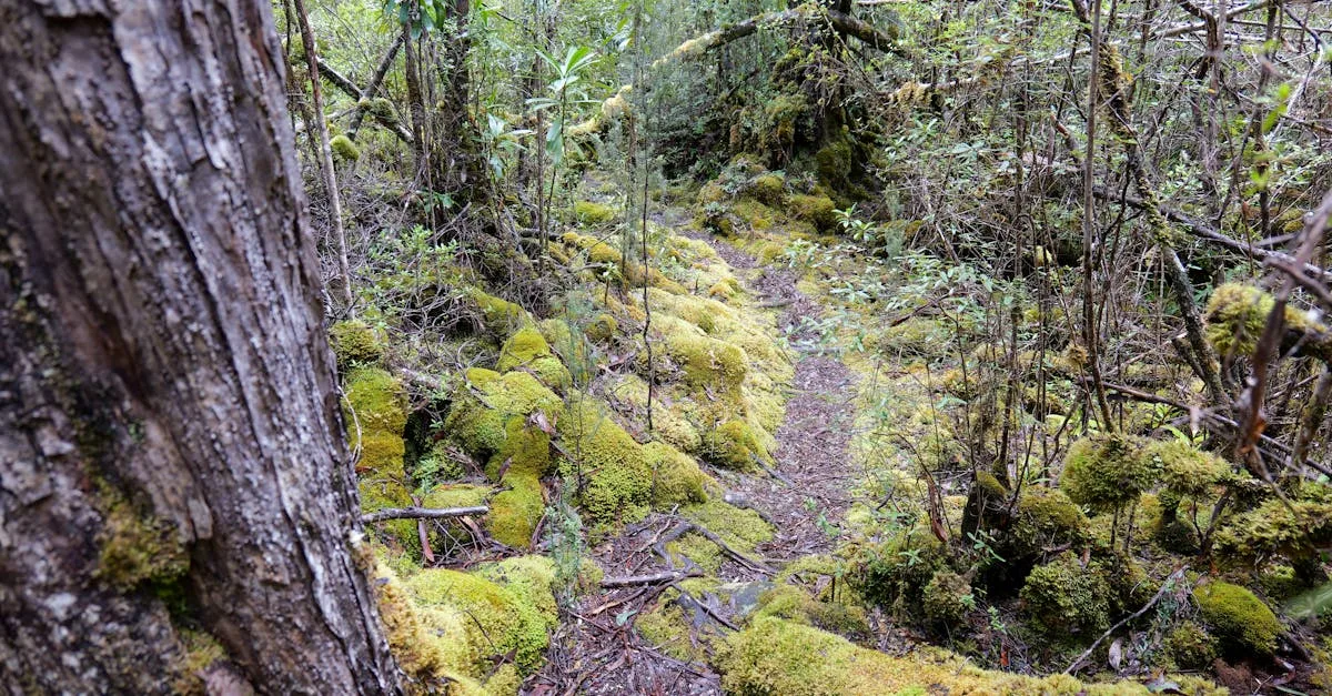 The Emotions and Identity Issues of Neurodiversity: Why Good Medicine Takes Time