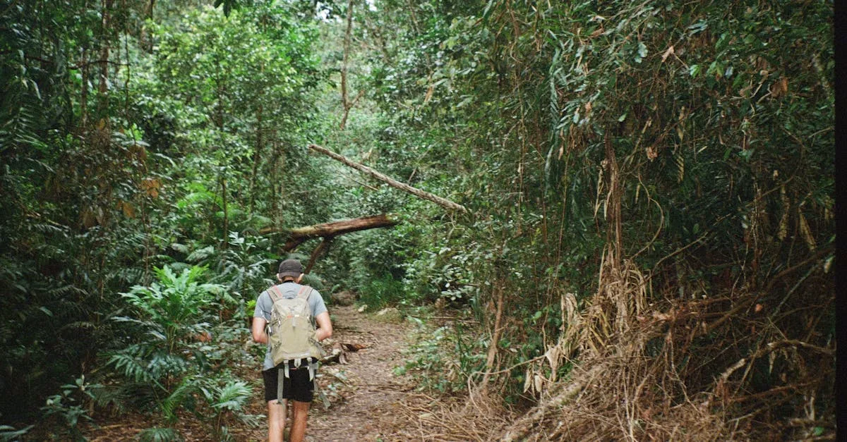 Queensland is the first state to let GPs diagnose and prescribe for ADHD